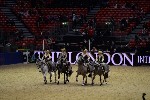 Quadrille - 00661
